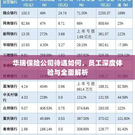 华瑞保险公司员工深度体验，待遇与工作环境全面解析-图1