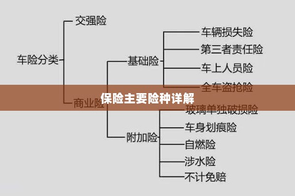 保险主要险种详解概览-图1 保险主要险种详解概览-图1