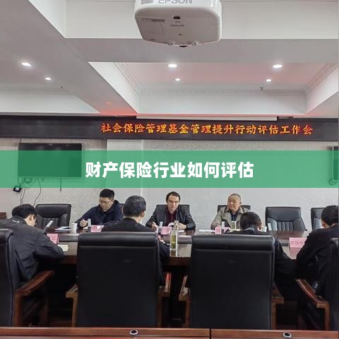 财产保险行业评估方法与策略解析-图1