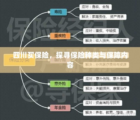 四川保险探秘，种类与保障内容全解析-图1