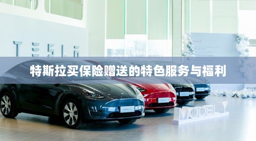 特斯拉保险特惠，独家特色服务与丰厚赠品等你来享-图1