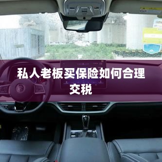私人老板如何合理购买保险并交税指南-图1