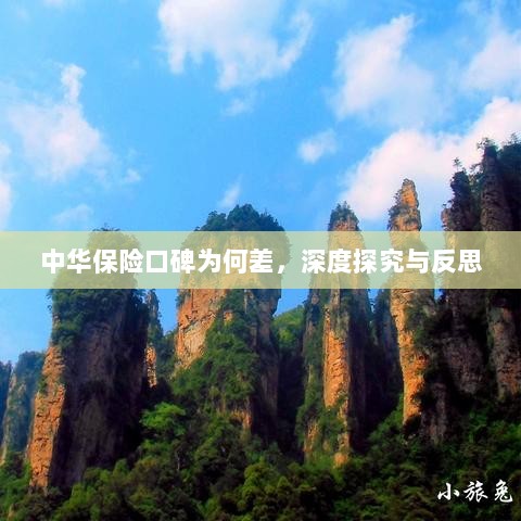 中华保险口碑深度探究与反思，原因何在？-图1
