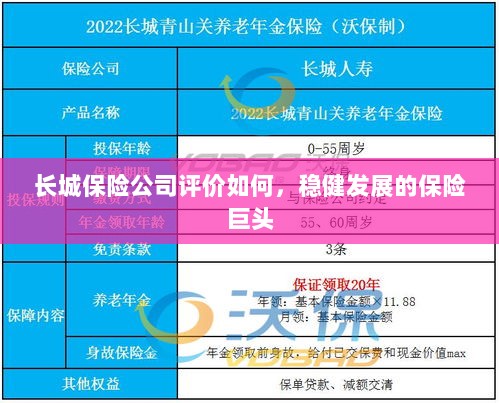 长城保险公司评价及稳健发展的保险巨头概况-图1 长城保险公司评价及稳健发展的保险巨头概况-图1