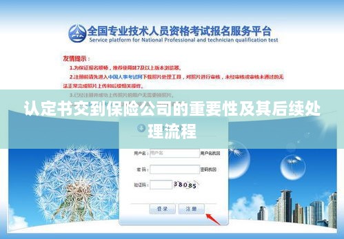 认定书对保险公司的重要性及后续处理流程详解-图1