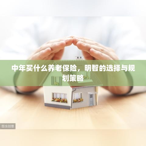 中年明智之选,养老保险的规划与策略-图1 中年明智之选,养老保险的规划与策略-图1