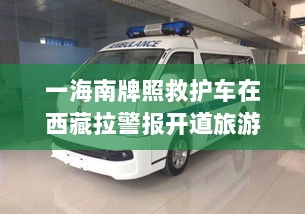 三亚官方通报，海南牌照救护车在西藏开警报旅游并违规停车拍照-图1