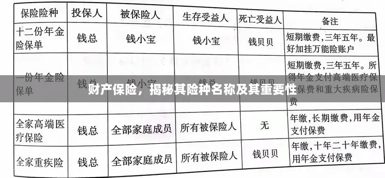 揭秘财产保险险种名称及其重要性,保障您的财产安全!-图1 揭秘财产保险险种名称及其重要性,保障您的财产安全!-图1