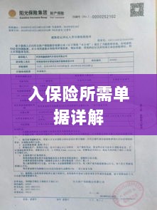 入保险必备单据解析-图1