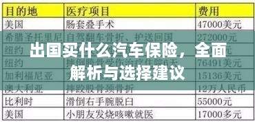 全面解析与选择建议，出国应购买哪些汽车保险？-图1