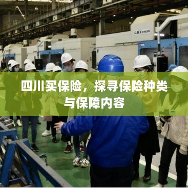 四川保险探秘,种类与保障内容全解析-图1 四川保险探秘,种类与保障内容全解析-图1