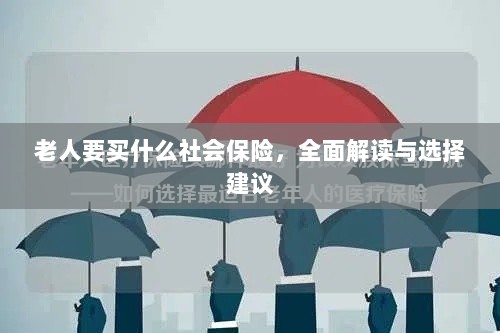 全面解读与选择建议，老年人应购买的社会保险种类解析-图1