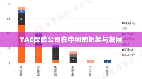 TAC保险公司在中国的崛起与蓬勃发展之路-图1