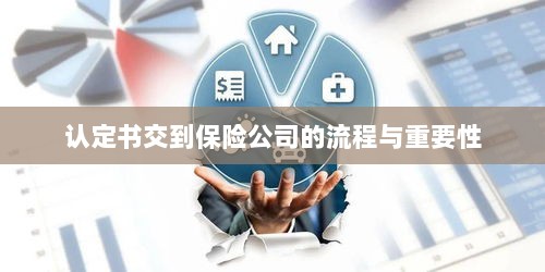 认定书交到保险公司的流程及其重要性概述-图1