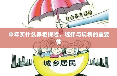 中年养老保险的选择与规划，关键性与策略探讨-图1