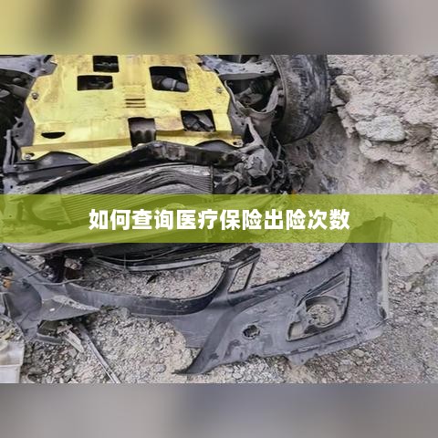 医疗保险出险次数查询攻略-图1 医疗保险出险次数查询攻略-图1