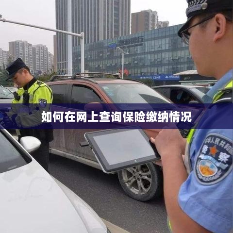 网上查询保险缴纳情况攻略-图1