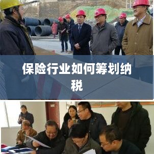 保险行业的纳税筹划策略与方案解析-图1 保险行业的纳税筹划策略与方案解析-图1