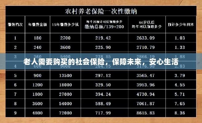 老人社会保险，保障未来，安心生活-图1