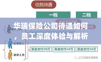 华瑞保险公司员工深度体验，待遇详解与解析-图1
