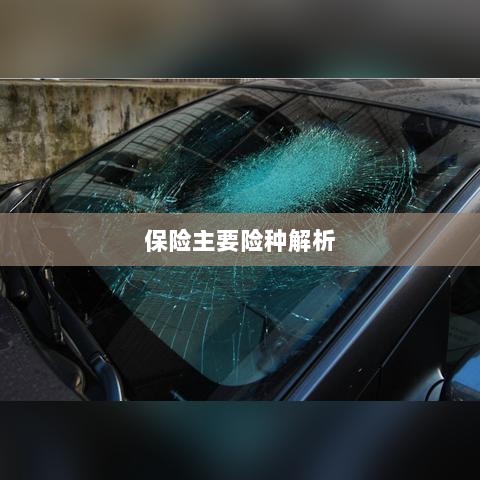 保险主要险种详解-图1