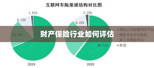 财产保险行业评估方法与策略解析-图1