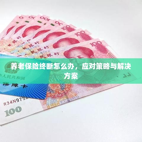 养老保险中断应对指南，解决方案与策略-图1