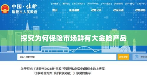 大金险产品稀缺背后的原因探究-图1