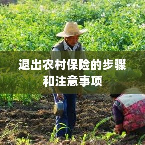 退出农村保险的步骤及注意事项详解-图1