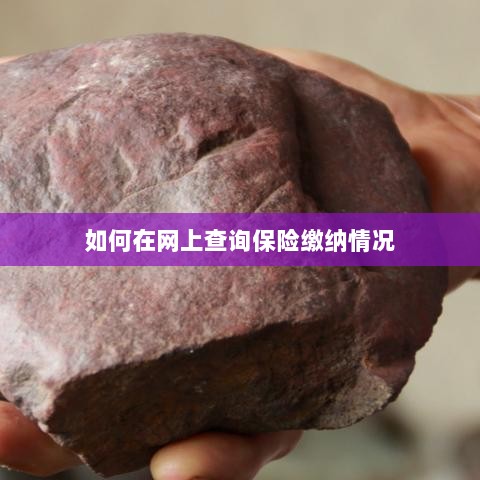 网上查询保险缴纳情况攻略-图1