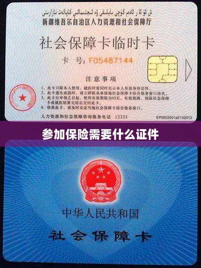 参加保险所需证件概览-图1