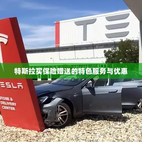 特斯拉保险特惠，买保险即享特色服务与优惠大礼包-图1