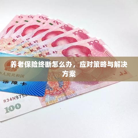 养老保险中断应对指南,解决方案与策略-图1 养老保险中断应对指南,解决方案与策略-图1
