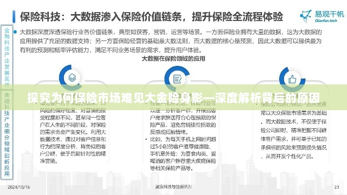 大金险在保险市场的缺席，深度探究其原因-图1