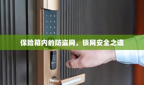 保险箱内的防盗网，锁网安全的秘密之道-图1