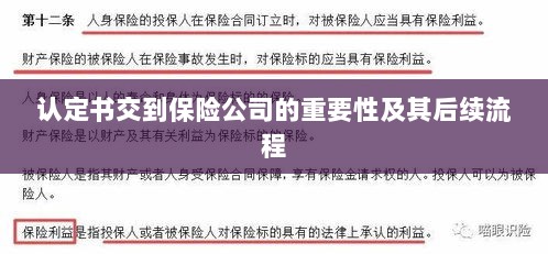 认定书对保险公司的重要性及后续流程详解-图1