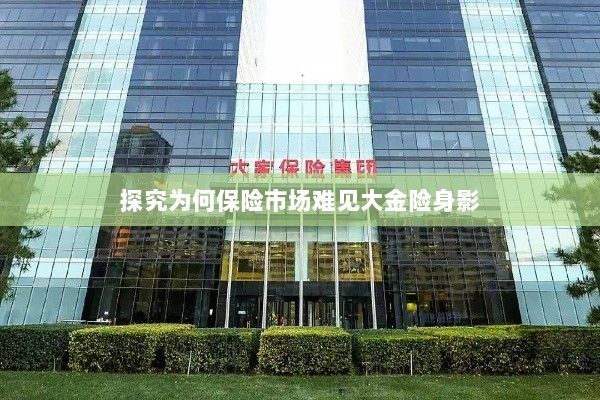 大金险在保险市场难觅踪迹的探究-图1