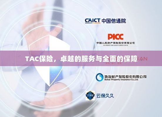 TAC保险，卓越服务，全面保障-图1