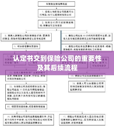 认定书对保险公司的重要性及后续流程详解-图1 认定书对保险公司的重要性及后续流程详解-图1