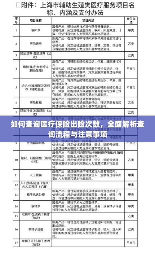 全面解析，医疗保险出险次数查询流程与注意事项指南-图1