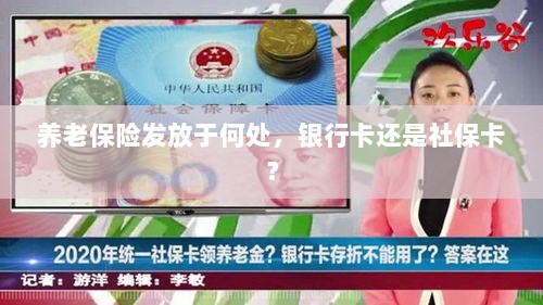 养老保险发放方式解析,银行卡还是社保卡?-图1 养老保险发放方式解析,银行卡还是社保卡?-图1