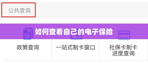 如何查看个人电子保险保单详情-图1