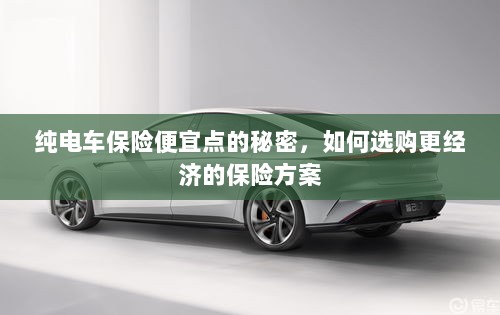 纯电车保险更经济，省钱方案揭秘与选购策略-图1