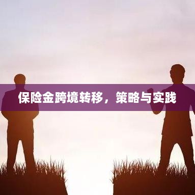 保险金跨境转移的策略与实践探讨-图1 保险金跨境转移的策略与实践探讨-图1