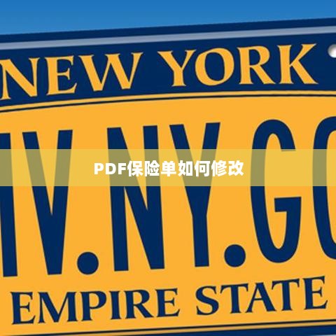PDF保险单修改指南-图1