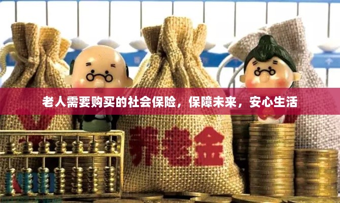 老人社会保险,保障未来,安心生活-图1 老人社会保险,保障未来,安心生活-图1