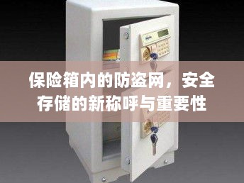 保险箱内防盗网,安全存储的新称呼及其重要性-图1 保险箱内防盗网,安全存储的新称呼及其重要性-图1