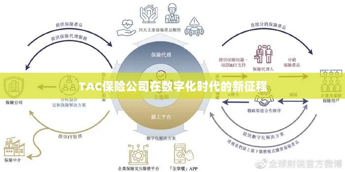 TAC保险公司在数字化时代的新征程启航-图1