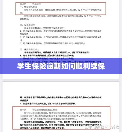 学生保险逾期续保攻略，顺利过渡无忧保障-图1