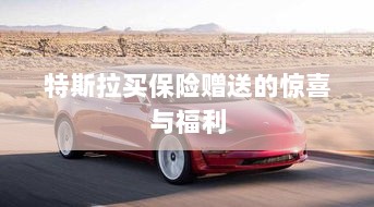 特斯拉保险购买赠品与惊喜福利概述-图1